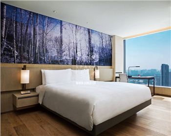 板式酒店公寓家具SIMLO083